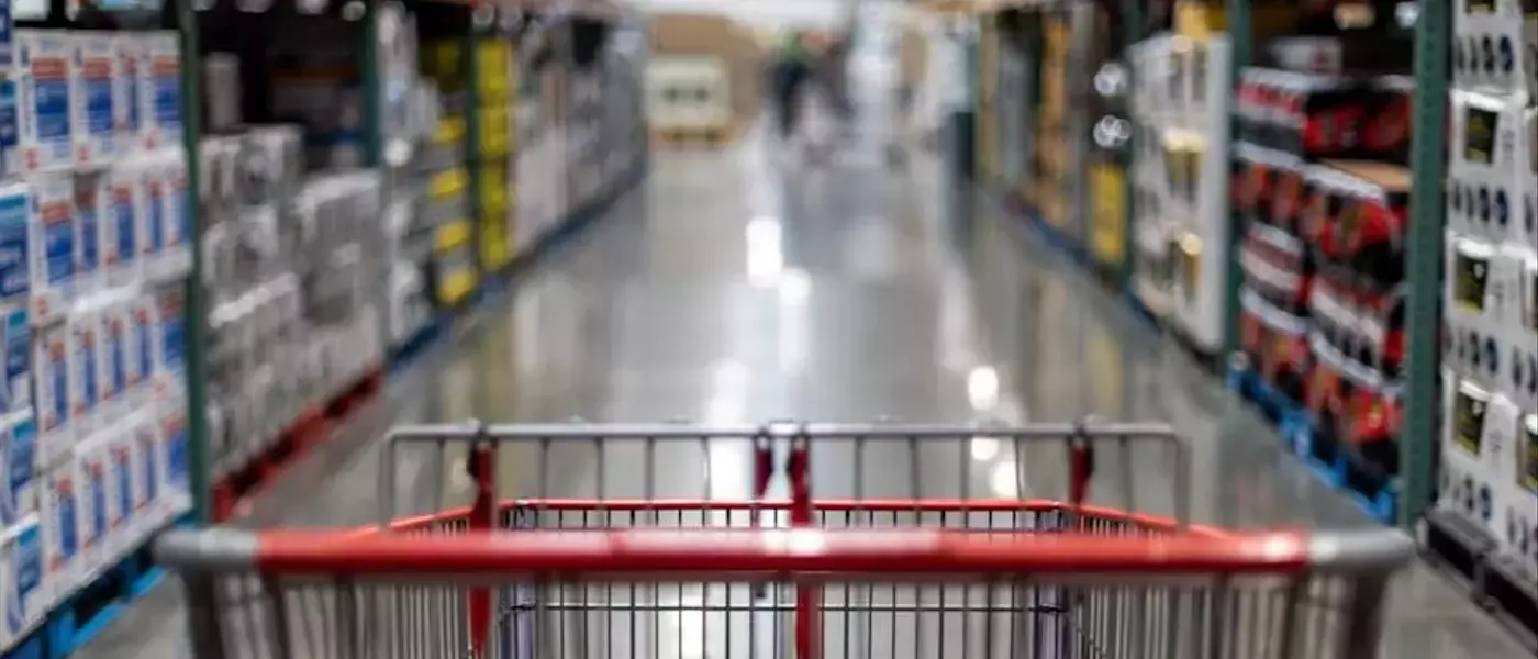 Costco's Stock Performance: A Deeper Look Beyond Revenue Growth