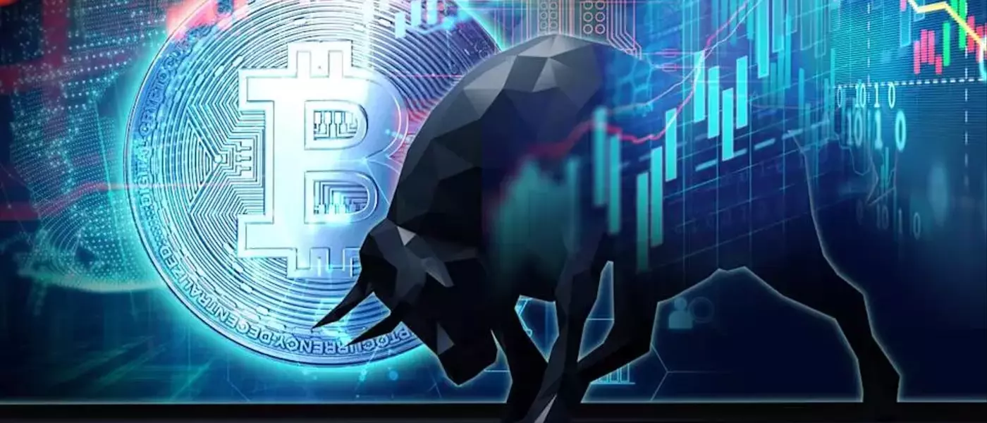 Bitcoin's Volatility: A Long-Term Investment Opportunity?