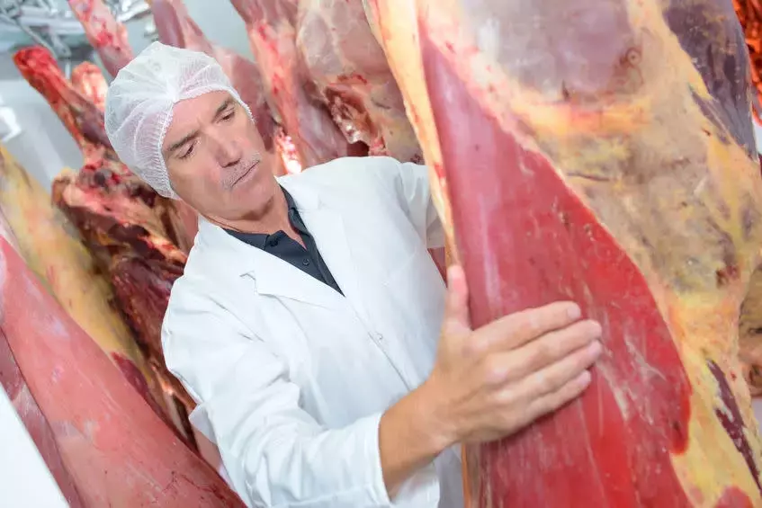 JBS N.V. Remains a Promising Large Cap Investment Opportunity
