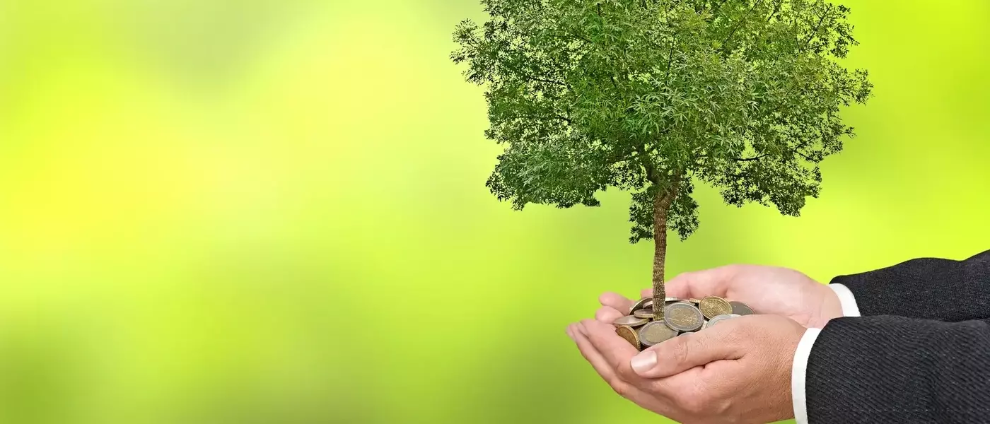 LendingTree's Insurance Sector Fuels Growth Amidst Market Volatility