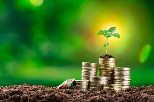 Wasatch Small Cap Growth Fund: Navigating Market Volatility in Q1 2026