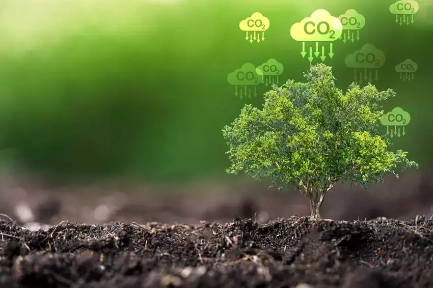 Court Nullifies IRS Rule Impeding Renewable Energy Tax Credits