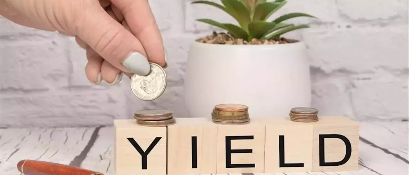 Beyond the Hype: Discovering Value in Overlooked Dividend Stocks