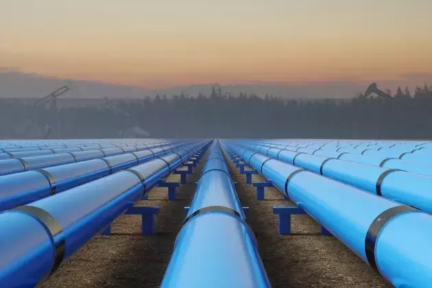 Woodside Energy: Poised for Growth and Shareholder Value