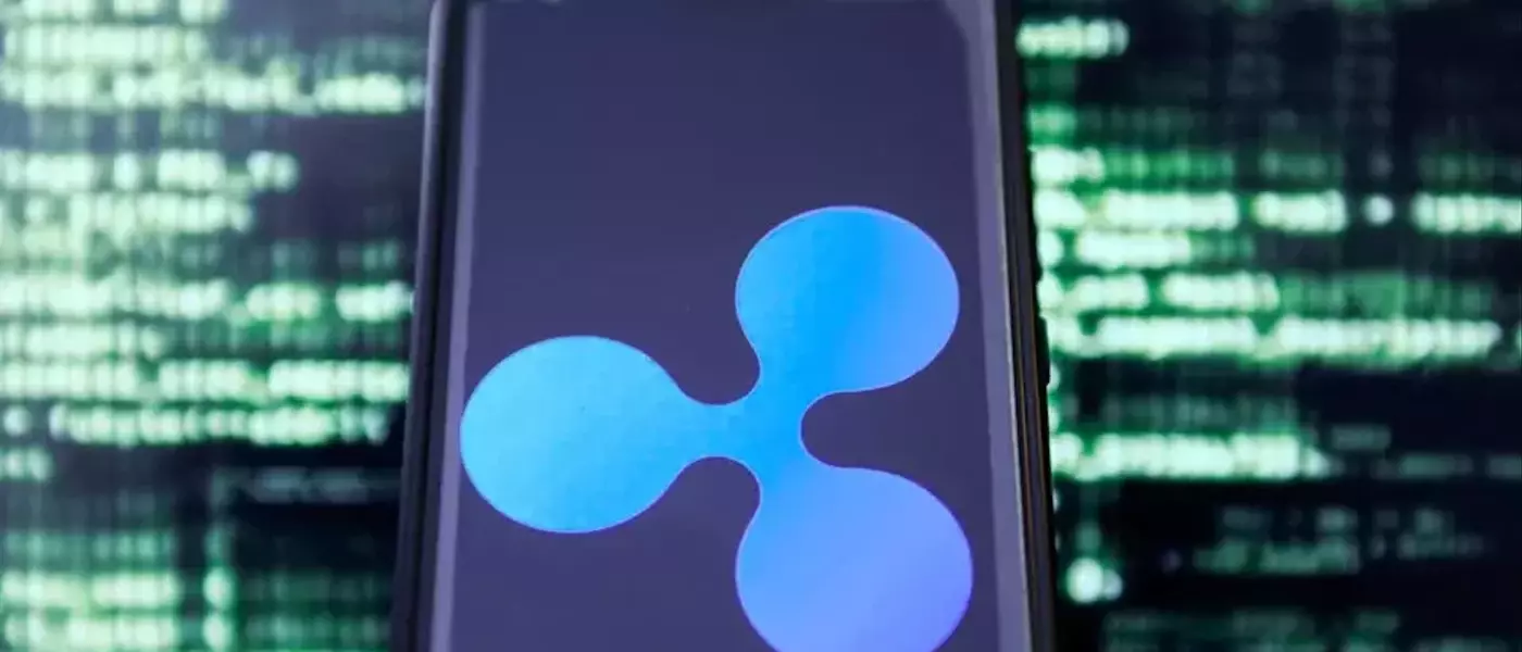 XRP Holdings Concentrated Among Millionaires Amid Market Rally