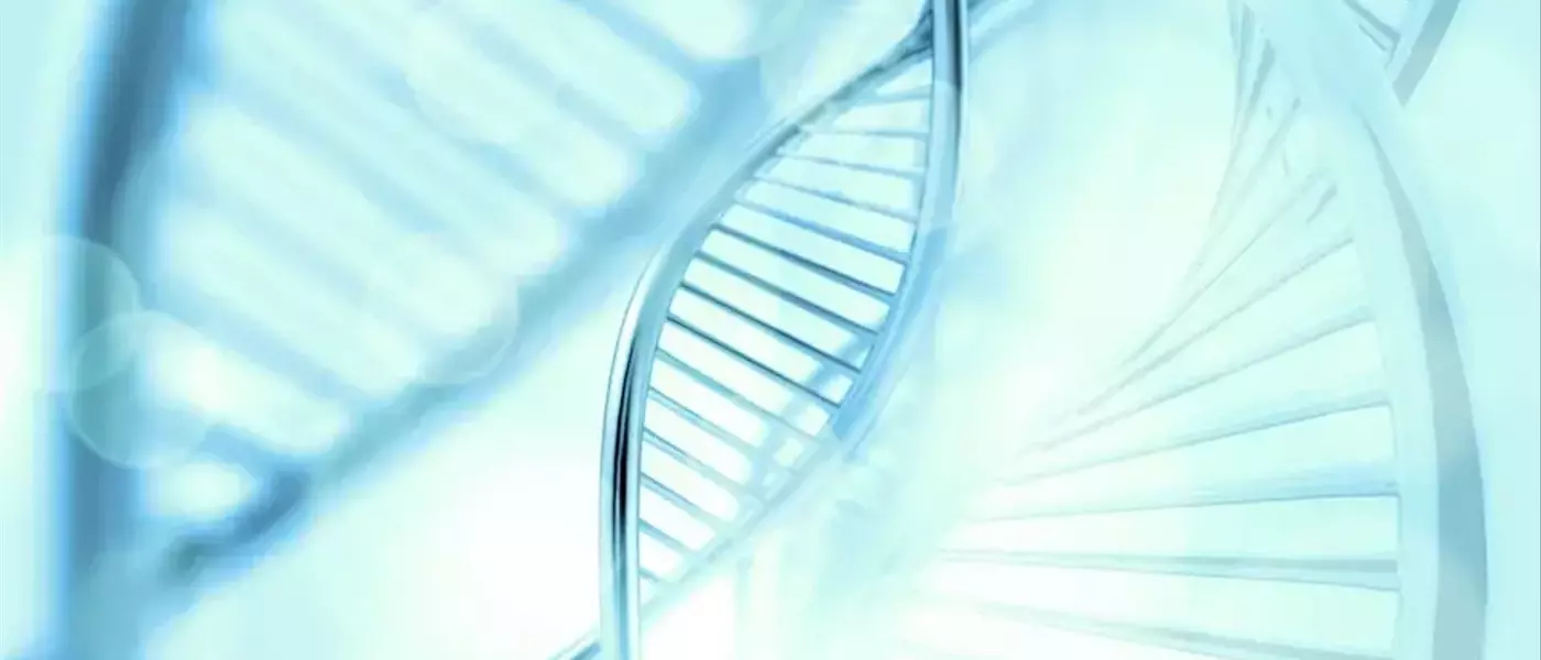 H.C. Wainwright Maintains 'Buy' for Structure Therapeutics (GPCR)