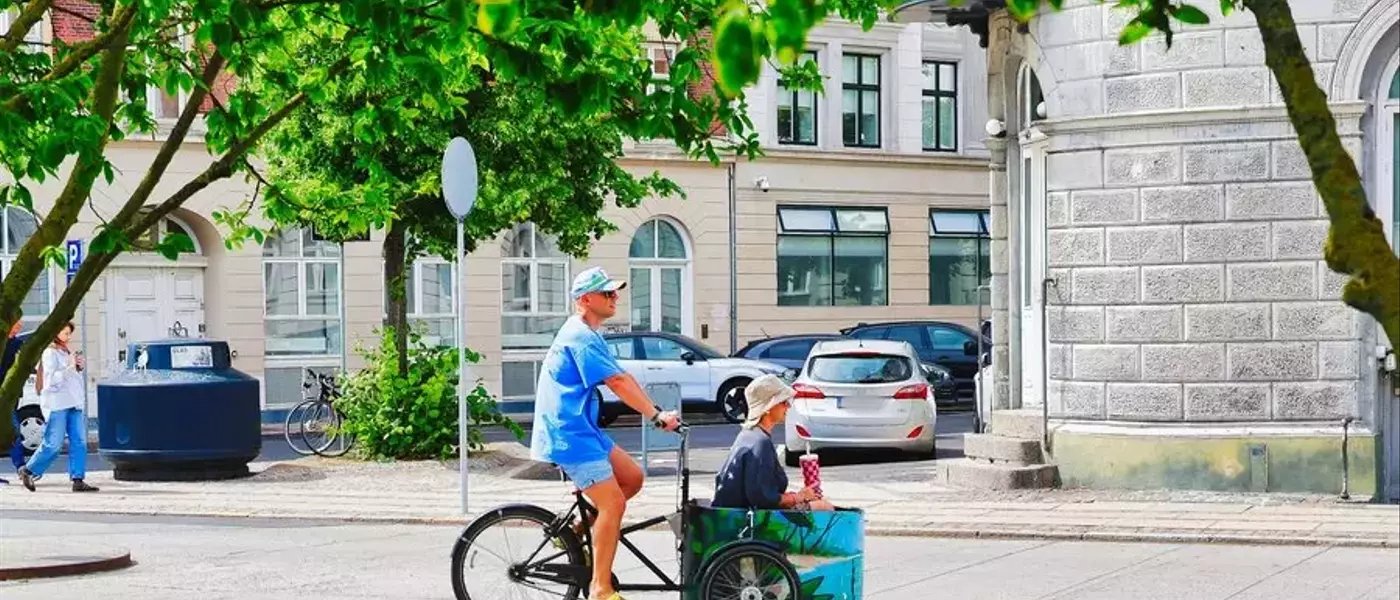 Choisir le Meilleur Vélo Triporteur Électrique : Guide Comparatif 2026