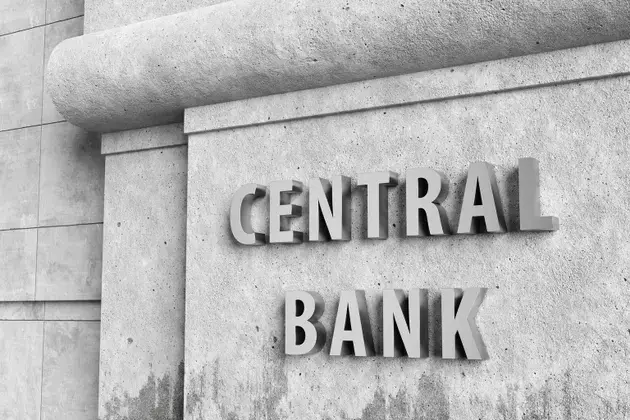 Central Bank Policy and PMI Signals