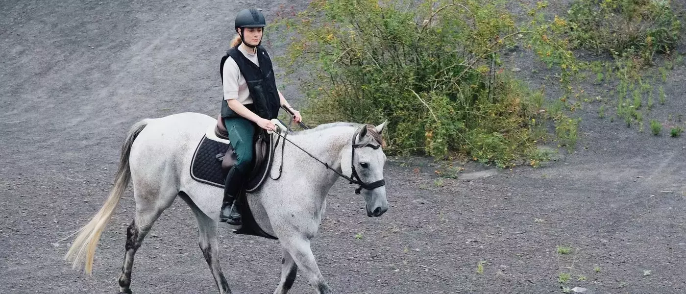 Guide Complet pour l'Équitation : Débuter, Progresser et Prendre Soin de Son Cheval