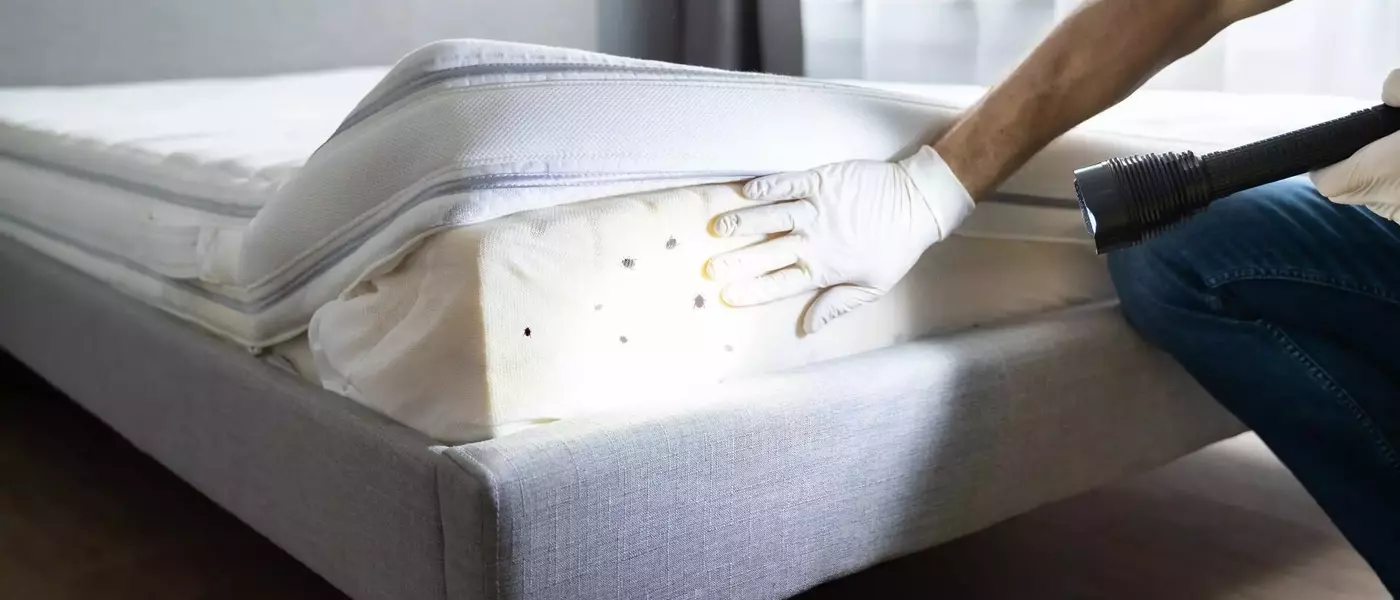 Comment Éviter les Punaises de Lit Lors de Vos Aventures en Randonnée