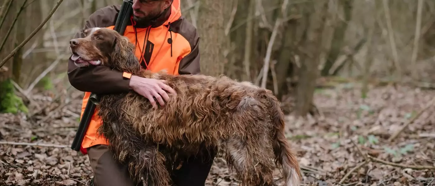 Chasse à la bécasse : Guide complet pour un équipement Solognac adapté