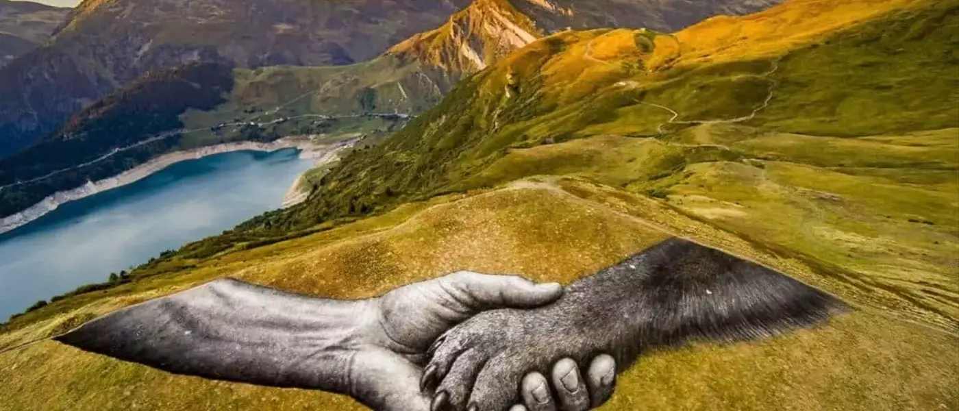 Saype dans le Beaufortain : quand le land art devient publicité