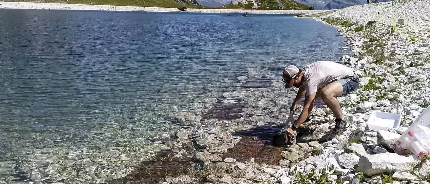 Améliorer la biodiversité des retenues d'altitude aux Arcs