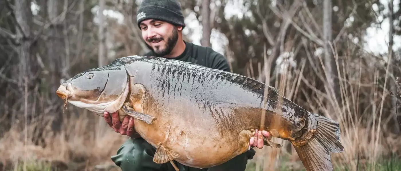 Guide Complet de la Pêche : Techniques, Équipement et Astuces pour Tous les Passionnés