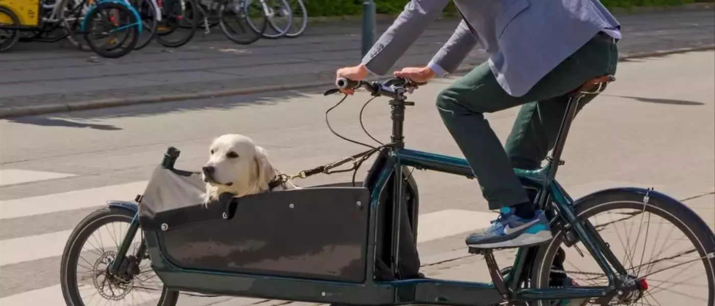 Guide Complet pour Choisir la Remorque de Vélo Idéale pour Votre Compagnon Canin