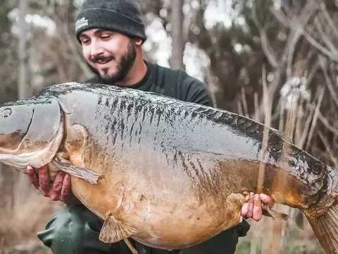 Guide Complet de la Pêche : Techniques, Équipement et Astuces pour Tous les Passionnés