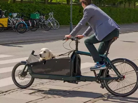 Guide Complet pour Choisir la Remorque de Vélo Idéale pour Votre Compagnon Canin