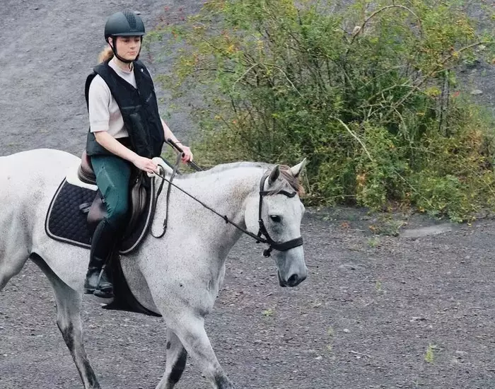 Guide Complet pour l'Équitation : Débuter, Progresser et Prendre Soin de Son Cheval