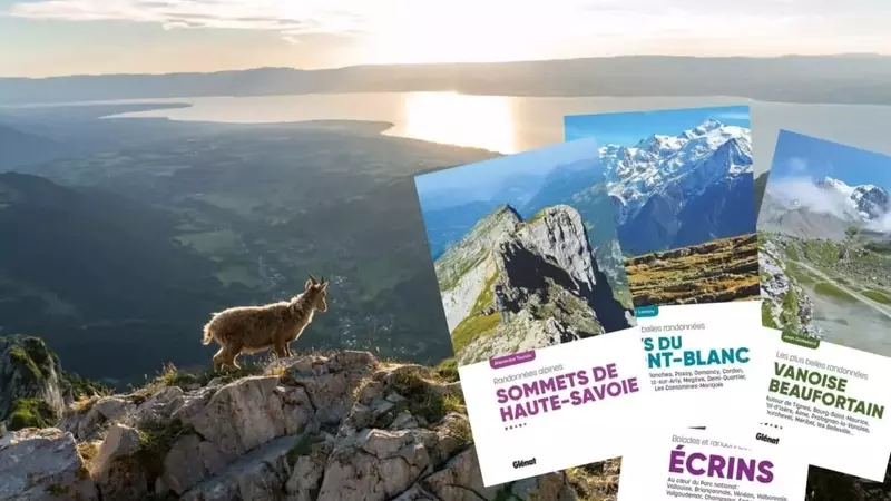 Découvrez les splendeurs alpines : itinéraires de randonnée pour l'été