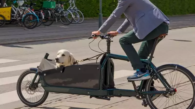 Guide Complet pour Choisir la Remorque de Vélo Idéale pour Votre Compagnon Canin
